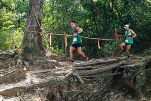 BIB: 
                            <button type="button" onclick="openModal(27801325)" class="btn btn-primary btn-sm float-right btn-popup" data-toggle="modal" data-target=".modal-high-quality">
                        <i class="fas fa-shopping-cart"></i> Add to Cart
                    </button>
                                            <button type="button" onclick="isThisMe(27801325, true)" class="btn btn-success btn-sm float-right btn-popup btn-isme hidden" data-toggle="tooltip" data-placement="bottom" title="นี่คือรูปของคุณใช่ไหม คลิกที่นี่เพื่อเอาเข้าอัลบั้ม">
                        <i class="fas fa-plus"></i> Add to album
                    </button>
                    <button type="button" onclick="isThisMe(27801325, false)" class="btn btn-warning btn-sm float-right btn-popup btn-isnotme hidden">
                        <i class="fas fa-ban"></i> Remove from album
                    </button>